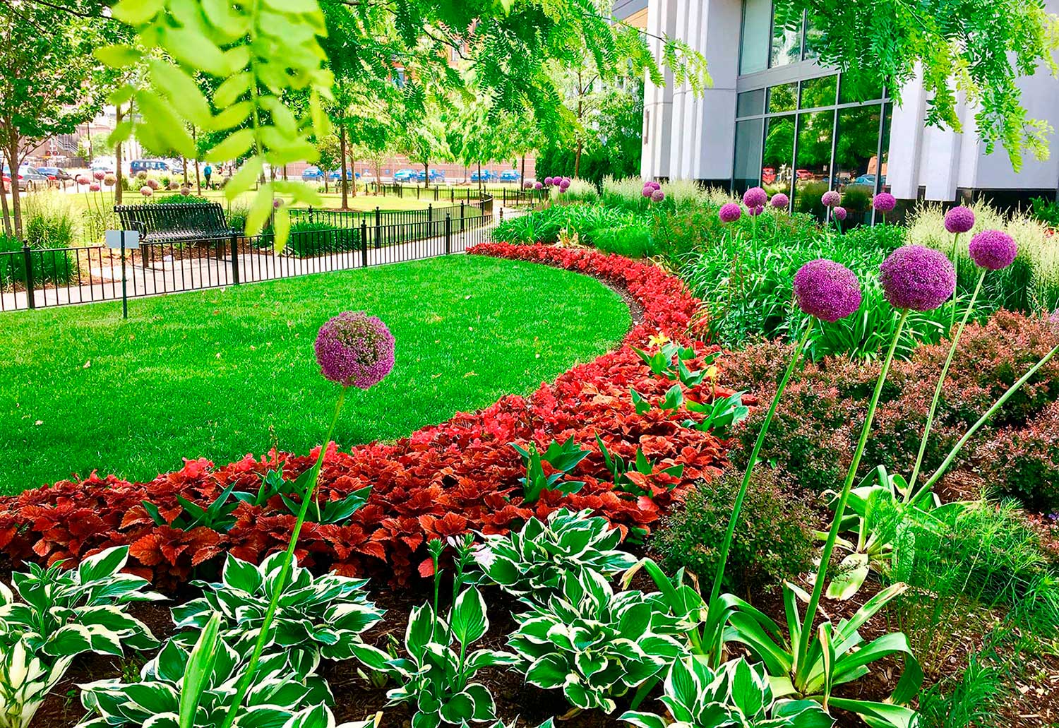 Maintained commercial landscaping and walkway