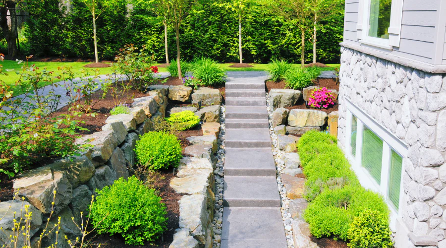 New landscape planting and installation