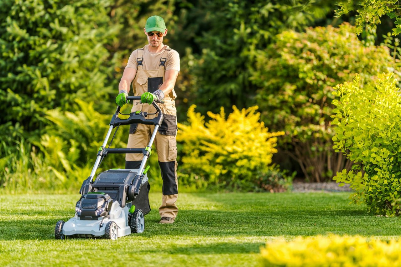 Landscaping professional maintaining a green lawn